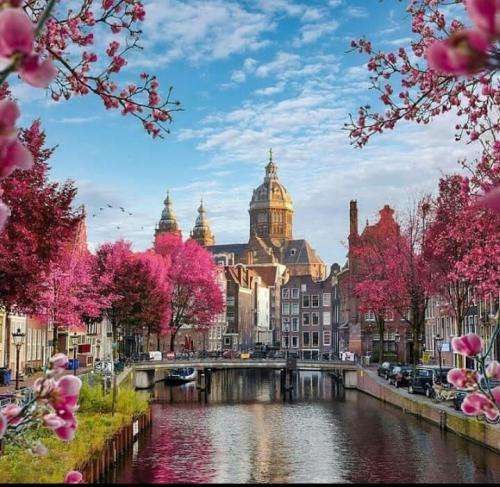 مسلک تو خودت دوپامینی تو تو دوپامینی ساعتم بزار بره