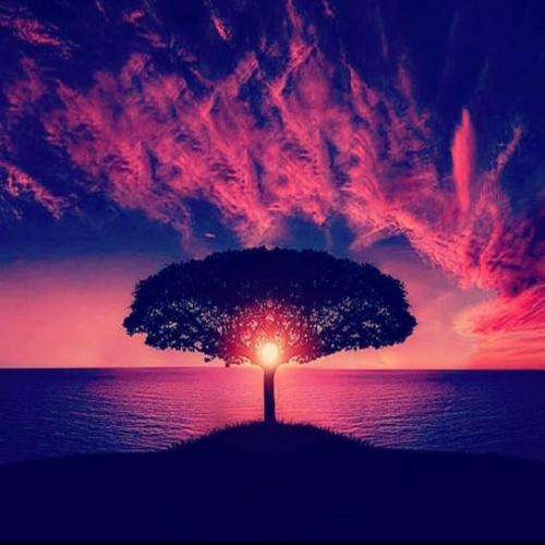 هیچکس یاکوزا سپهر خلسه بازخوانی هیچکس توسط هوش مصنوعی