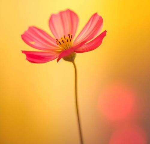 ازا یادته اون شب چقدر ما داد زدیم لعنتی این تو بودی جا زدی