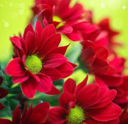 سینا ساعی من بیام لخت با وزنه تنهاییم کسی پشت وانیسته