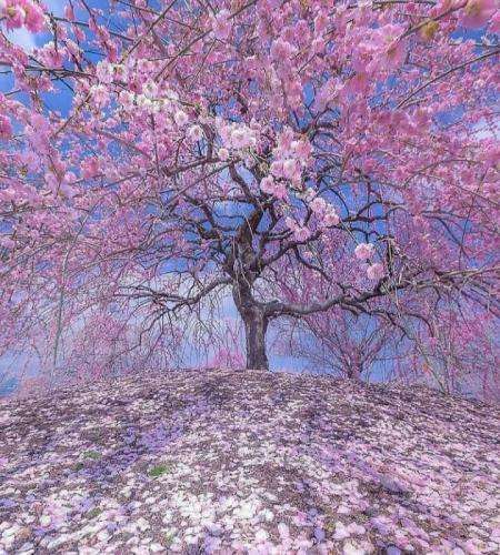 سجادی هر روز بیشتر نشه فاصلمون از خود قبلیمون و فکرمون به دست سیاست