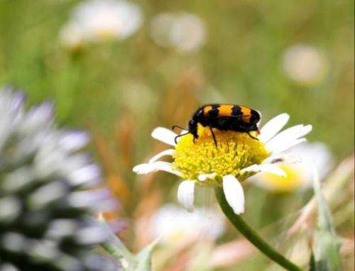 سجادی حل باشه جا اینکه بشه هرچی مشکل عادی نشینه شکم گرسنه پای