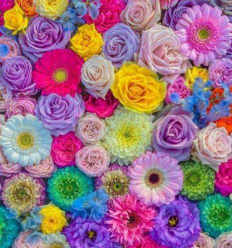 امیر خلوت بشینیم سه تایی من و تو و خدا آروم و آروم تن و مخ جدا