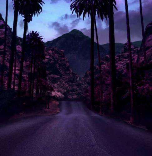 یانگ صادن وایرال