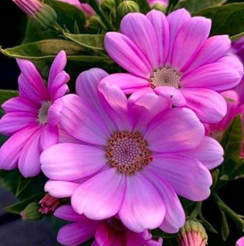 آرمین زارعی من هنوز تو فکرتم یه سره فقط امیدوارم این روزا بگذره