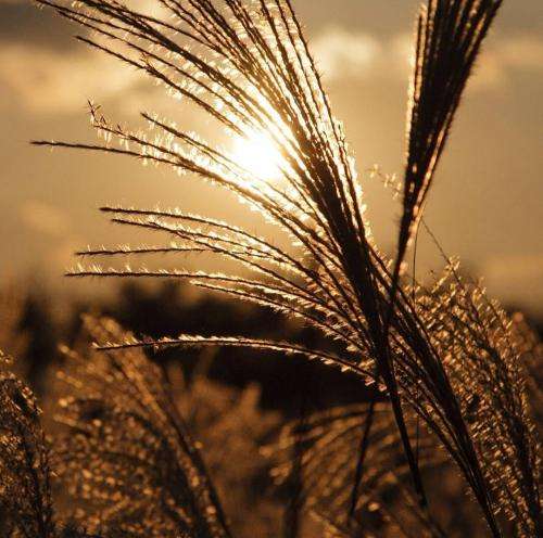 اکتاو میشکنه دلم