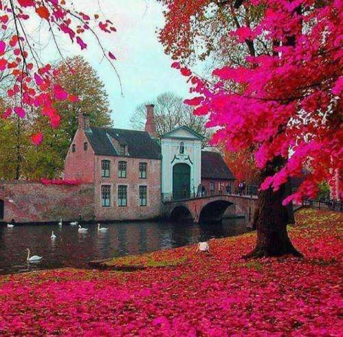 امیر تتلو تو لبات طعم عشق میده نه مثل بقیه طعم لجن ماتیک