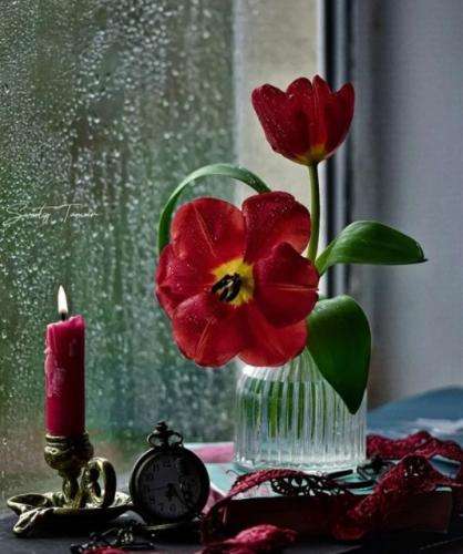 امیر تتلو دلم راه رفتنو میخواد کنارت شب چقد خوبه