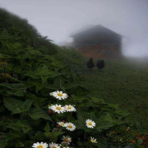 سامی لو پنج صبح میام خونه بهم میگی کجا بودی مست