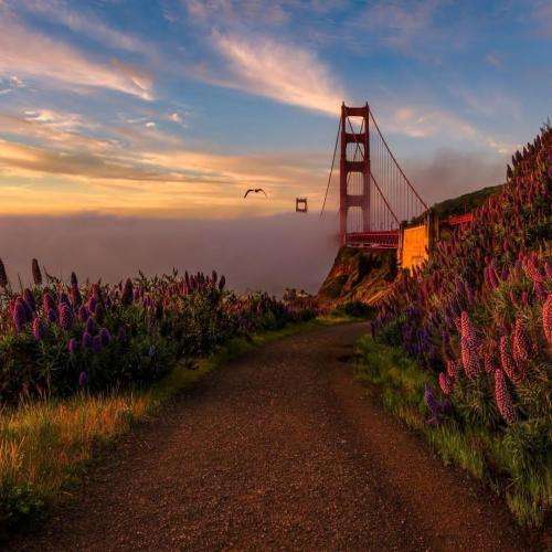 آرش سرطان تو که نمیتونی گنگ باشی بده بره