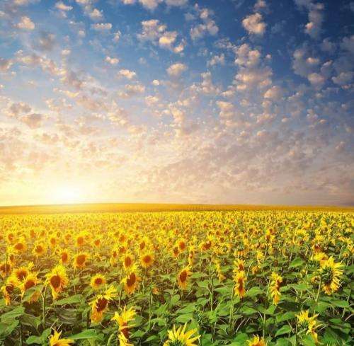 لنا صاف بودم عین دشت ولی بام صادق نشد