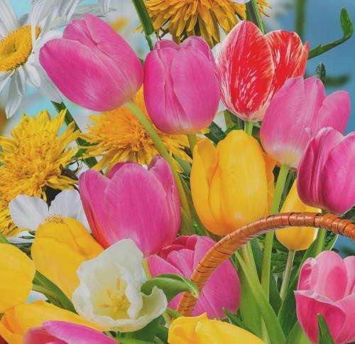 گاد پوری از اول