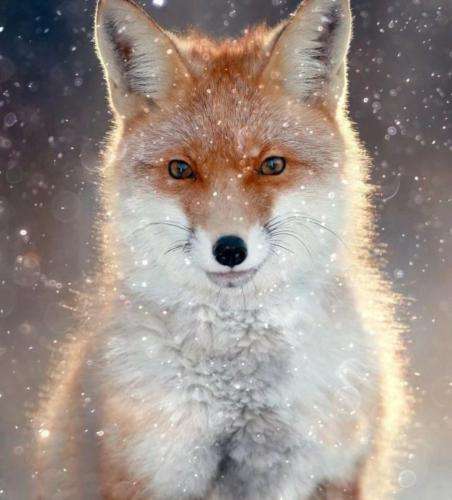 سوگند و زخمی پ اونقد میخونم تا اونروز بیاد نه کم میکنم نه کوتاه میام