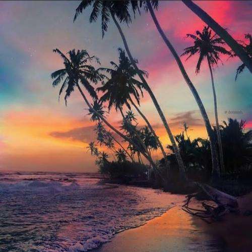 ممزی عاشقت شدمو دادی به گام تقصیر خودمه گم کردم رامو