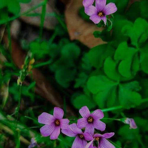 امیر تتلو از اون روز که دنیامو دیدم تو نگاهت روی ماهت