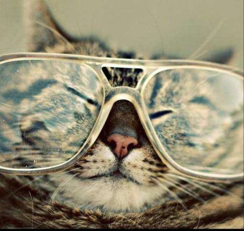 مهیار بغلم کن بغل کن روحمو که خستس