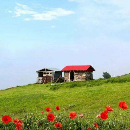 امیر تتلو و مرژاک شاید بفهمن چی بلدم بیشتر از همه چی از جا میکنتم