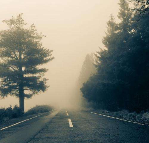 بهرام میزنم داد فساد زد به ریشه بالاست اونی که با سلام قوم و خیشه