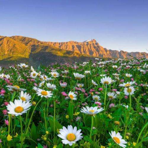 شایان یو من ازت دروغ شنیدم غرق کردی کشتیامو