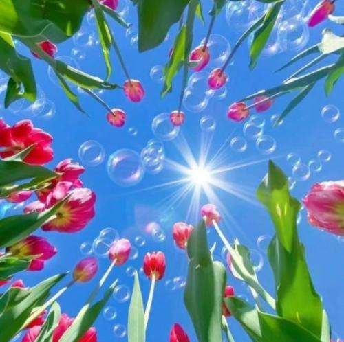 آرمین زارعی بگو بینم چرا نیستی کلافم هی شو و شو دلم تنگه