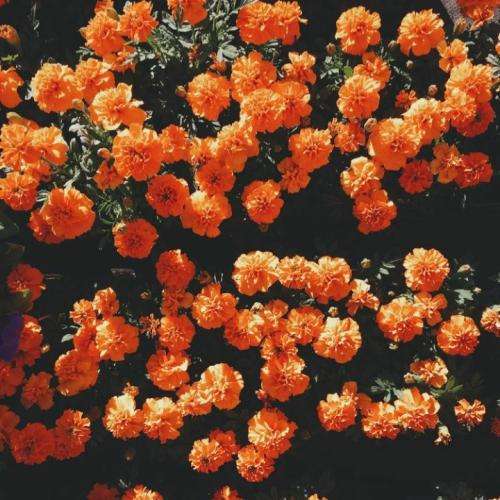 سپهر خلسه نمیدونن چی میکشیو میگن نکش