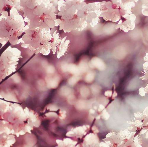 اکتاو میگه من با همه فرق دارم غیر عادیه من رفتارم