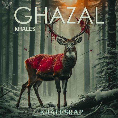 خالص غزال