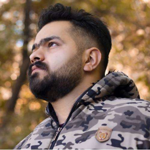 مهدی شریفی کبوتر ۲