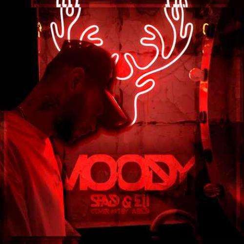 عرفان طهماسبی تو