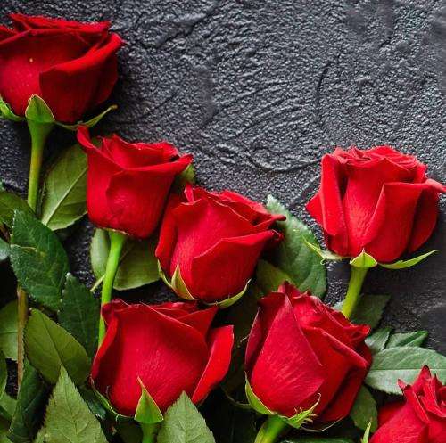  دلیل اینکه هنوز نپریدم ترسه لیوانم پر یخه