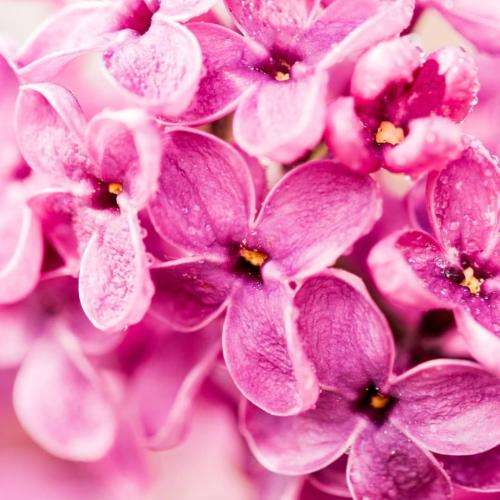 اینجا اخبار بد میشنوی اینجا زلزله میاد ده ریشتری