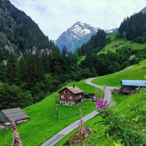  نخل آفتاب و جت اسکی دم بیچ وایب