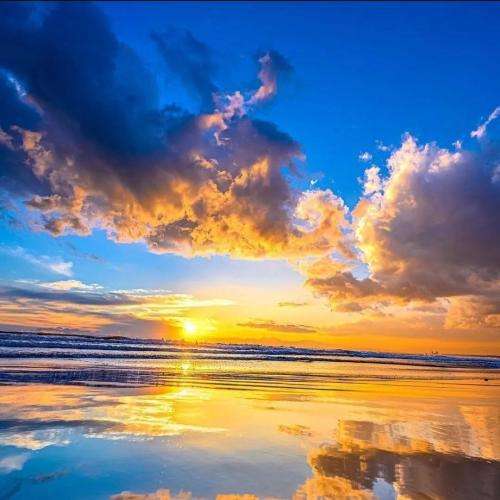  کپله هپله میندازم واسه تو صدقه شب شده بغل منقله
