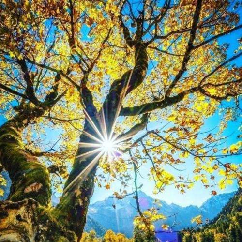  کی مثل تو پایمه دو تایی گند بزنیم شریک جرم مریض و خل