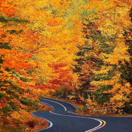  هه اون رو استیج قر میده کار ما لباس شستنه