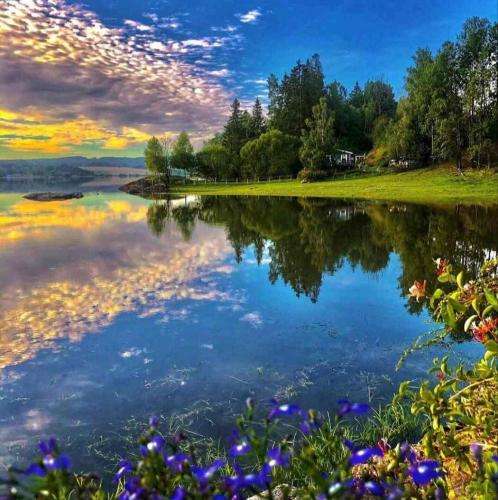  من میمونم خودم مهم نیستش کسی نداره دوستم