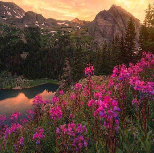  هر چی دارم صدقه سری خالقه