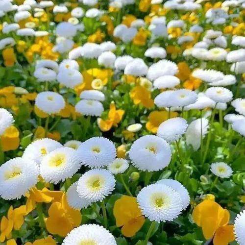 چشما بستس مستیم خوبه