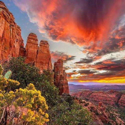 منتظر ورود تونی وان ببینن میشکنه سکوتم کی بوی