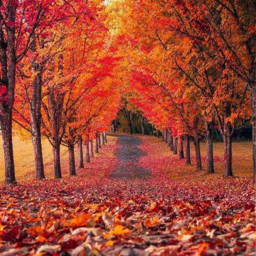  دورم زدی گفتم پروانه ای وای نمیدونستم که فرق داره این بار