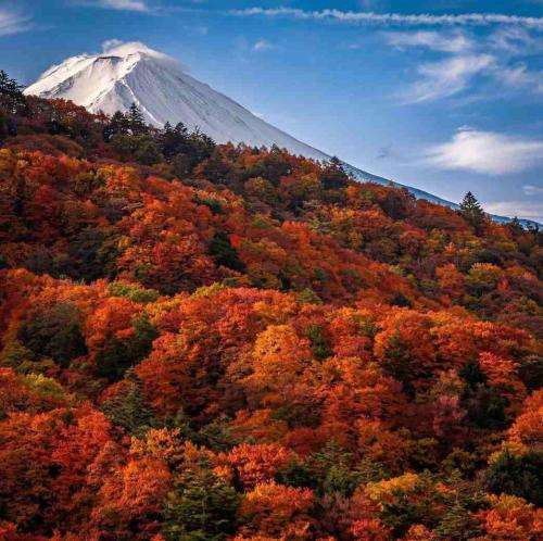 دلم میخواد کسی لمست نکنه غیر خودم دلم میخواد یه دل سیر