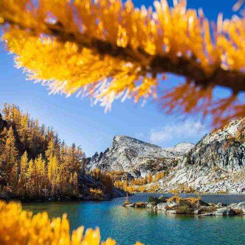  میخوریم یکی درمیون تلو افتادیم همه رو کاناپه ولو