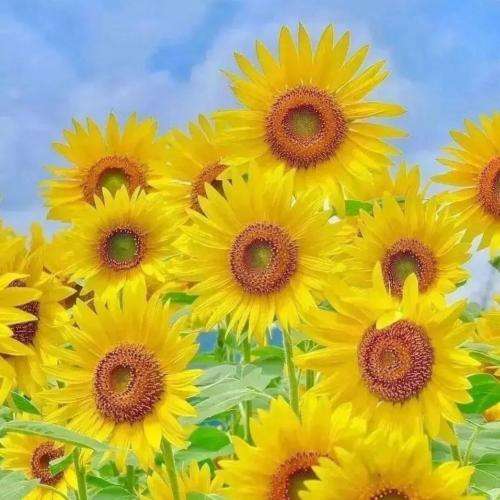دیدی که صبح نیومد و هوای خونه شب شد