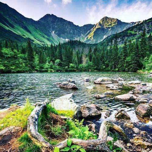  ازم نخواه برم از این خاک
