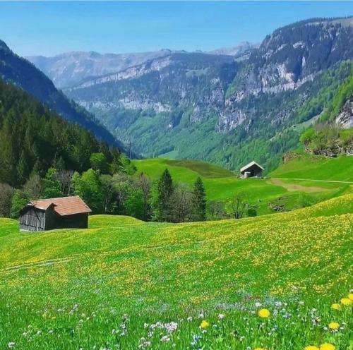 حاجی ما همینیم یه نمه عجیب و غریبیم