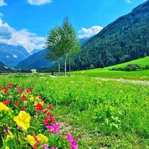  یادت میاد مست بودی شب تو بغل من