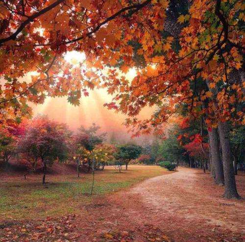 داره بارون میزنه نم نم خیابونا چه سردن