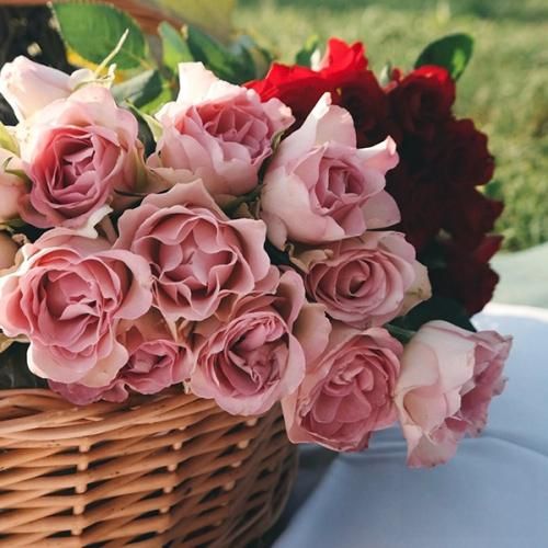 عشق و این حرفا چیه بابا شما چشم مایی