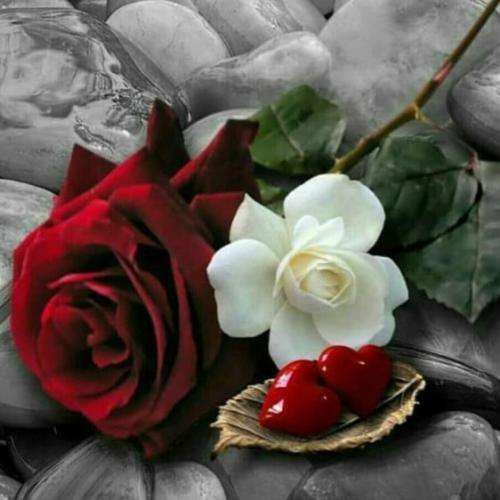  هم طبیب ای دل بیماری گذشت از اون روزا