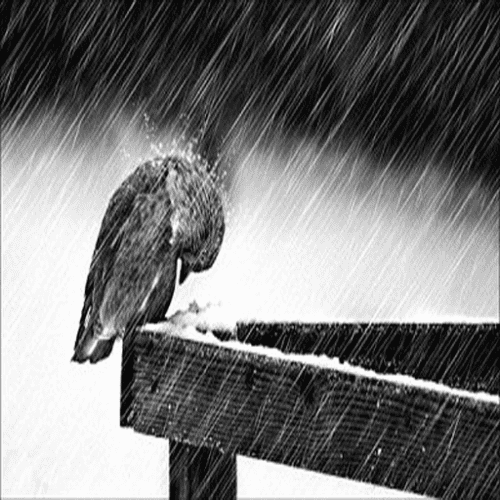  خالی کردی همه ی دق و دلی هاتو رو من نیستی با خودشم این بچه لجه